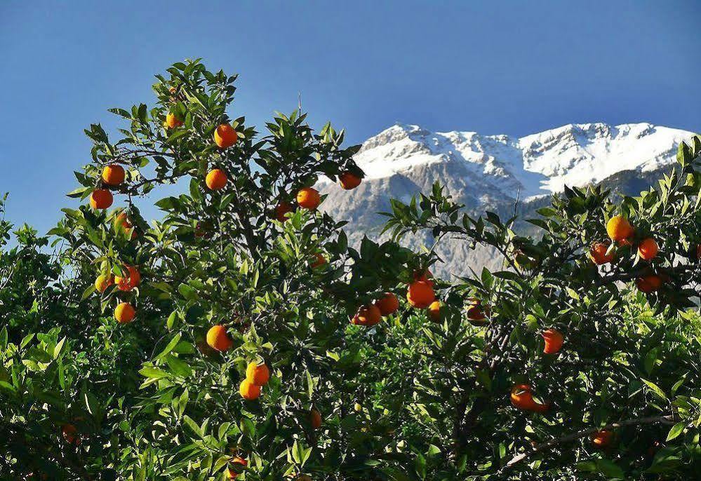 Tuncer Garden Hotel Kemer Exterior foto